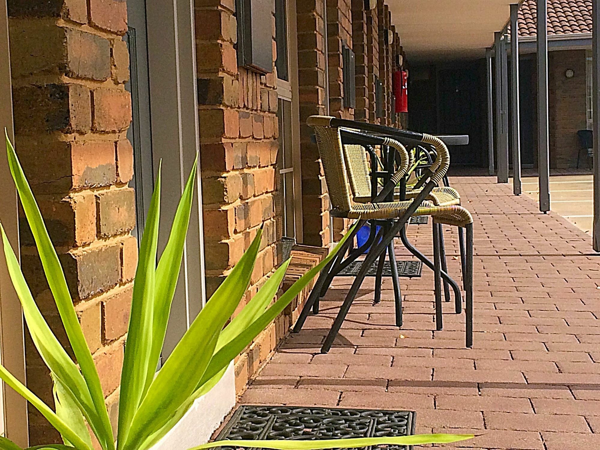 Pevensey Motor Lodge Echuca Εξωτερικό φωτογραφία